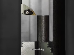 Kundenfertigung mit schwarzem Oxid beschichtet Edelstahlschacht für die Präzisions-CNC-Bearbeitung